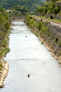Kayakers on the river